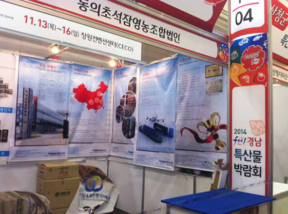 飛力達：布展第九屆韓國慶尚南道特產品博覽會