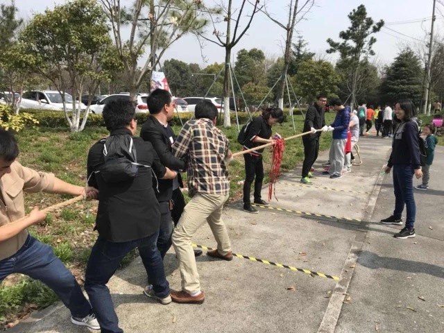 【同心·同行·同公益】第十一屆飛力達徒步活動節活動圖錦