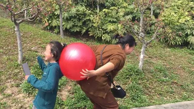 【同心·同行·同公益】第十一屆飛力達徒步活動節活動圖錦